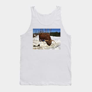 Scottish Highland Cattle Bull 1737 Tank Top